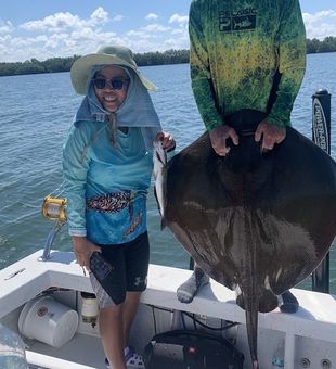 Stingray reeled from Pine Island, Florida